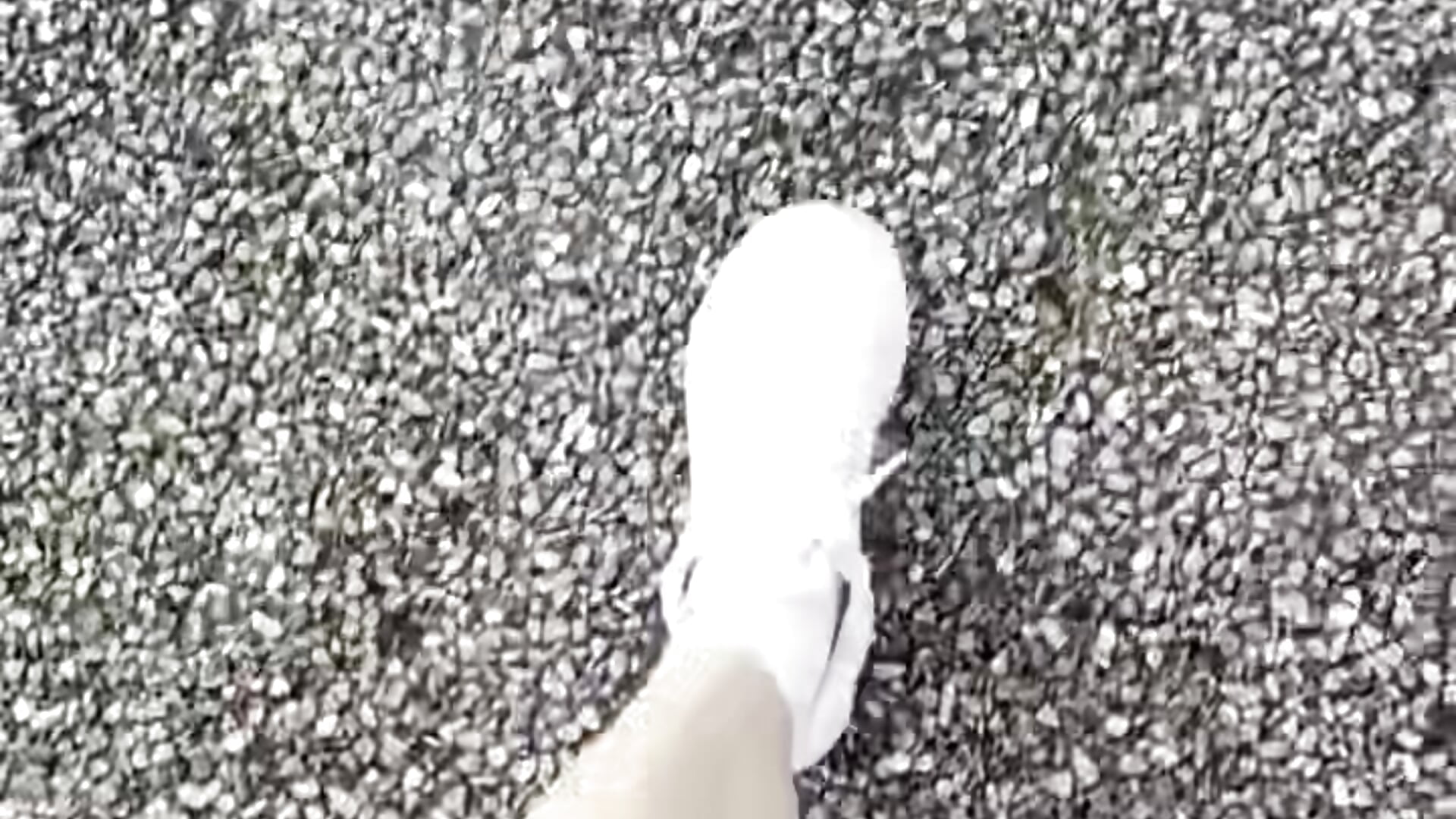 美腿 - video by Mengmeng18