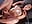 I LIKE WHEN U PINCH MY NIPPLES HARD AND I SQUIRT - vidéo du modèle de showcams Dakota_Blare