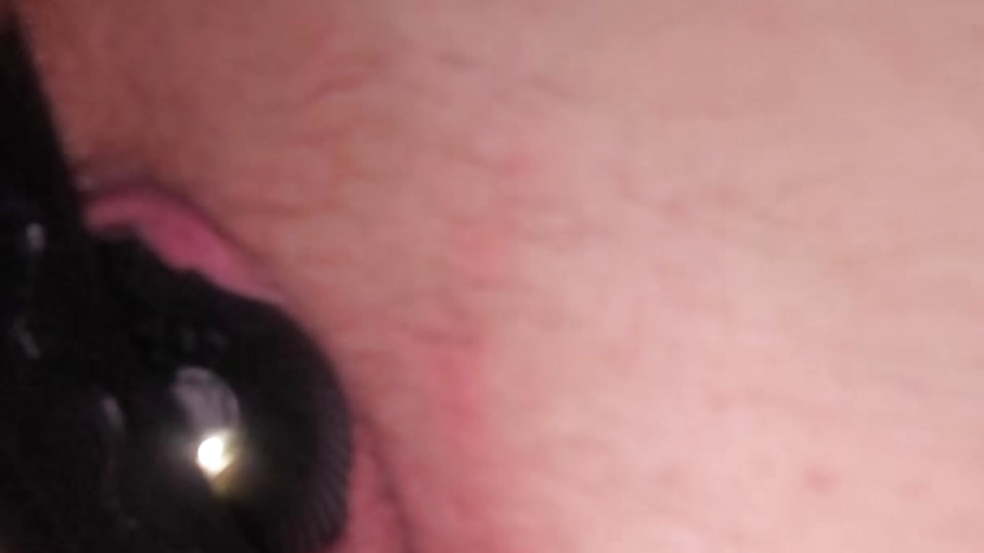 1000044744 - video by mocaos