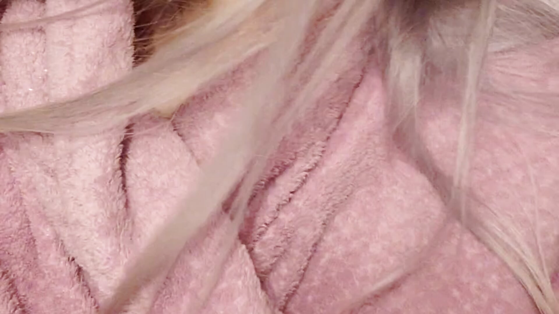 Silly Me xoxo - Video von ScarletsWeb Cam-Model