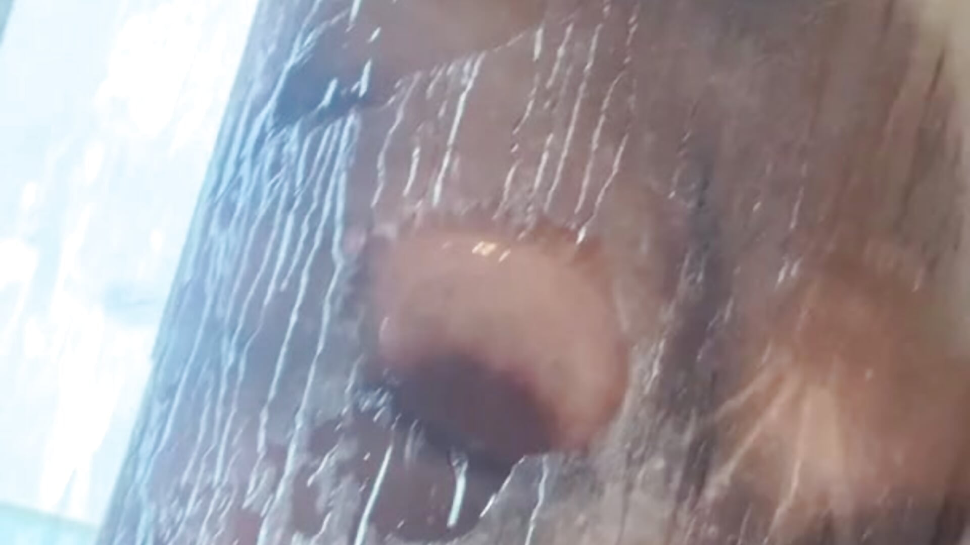 Tit shower show