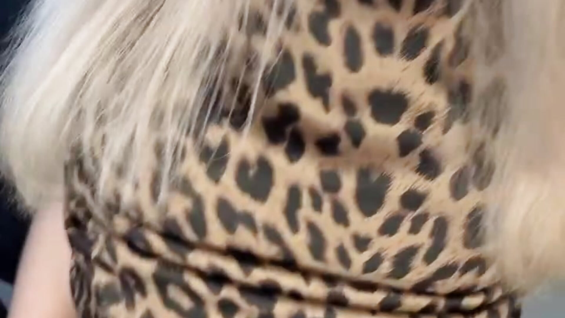 Im♥ - vídeo de Evange1na modelo de câmara
