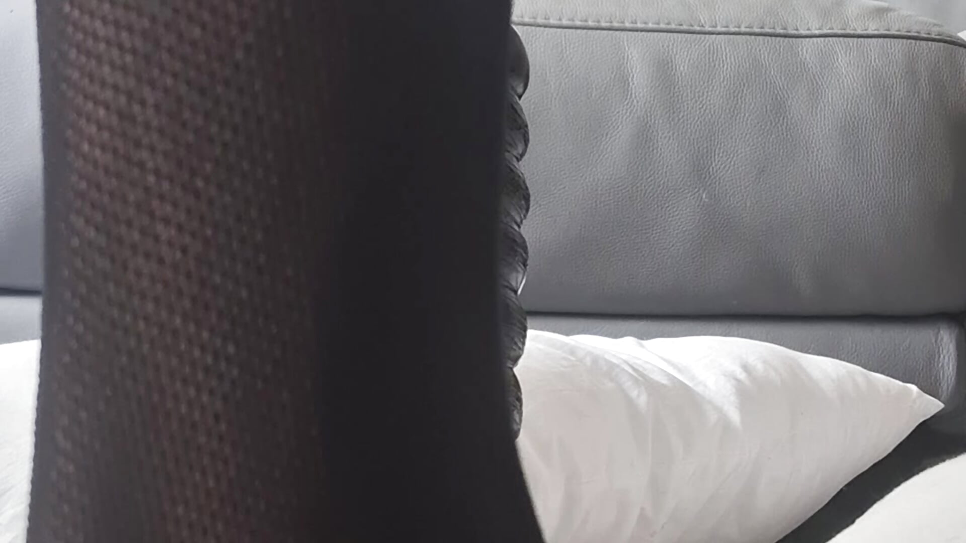 Best seat in the house - video by Kokiannolove