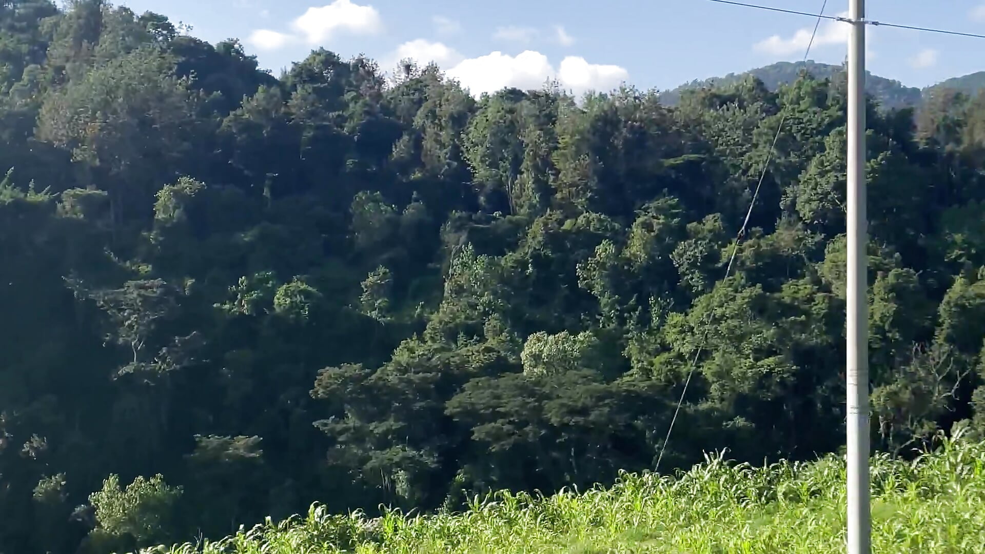Scenic drive - video oleh model kamera Marialynne