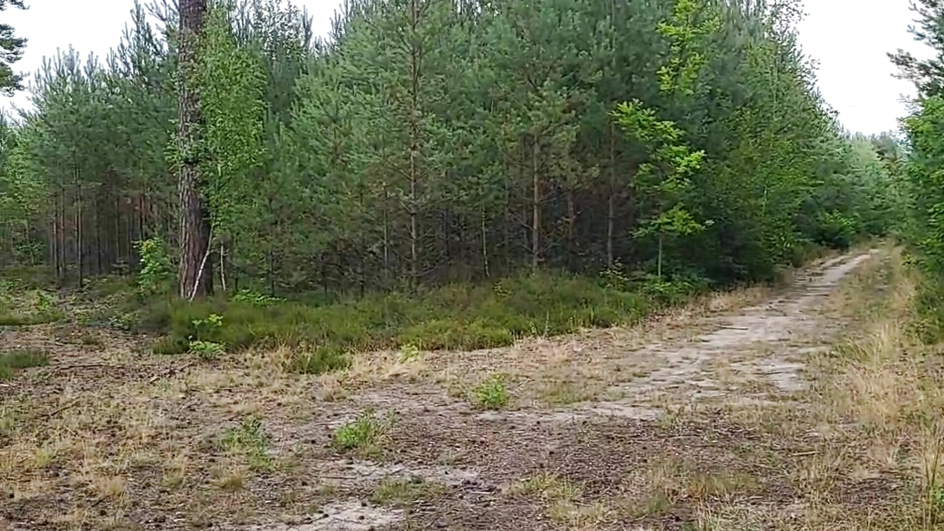 1000023547.mp4 – video af daviduhlig1 cam-model