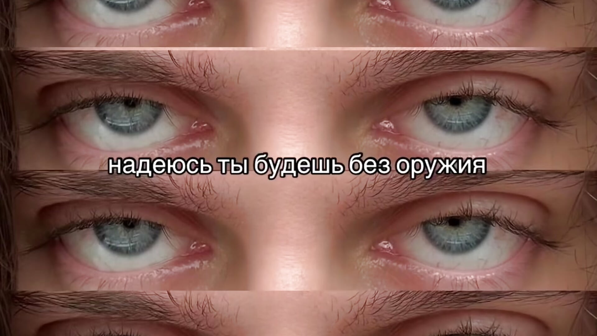 AlexxWine