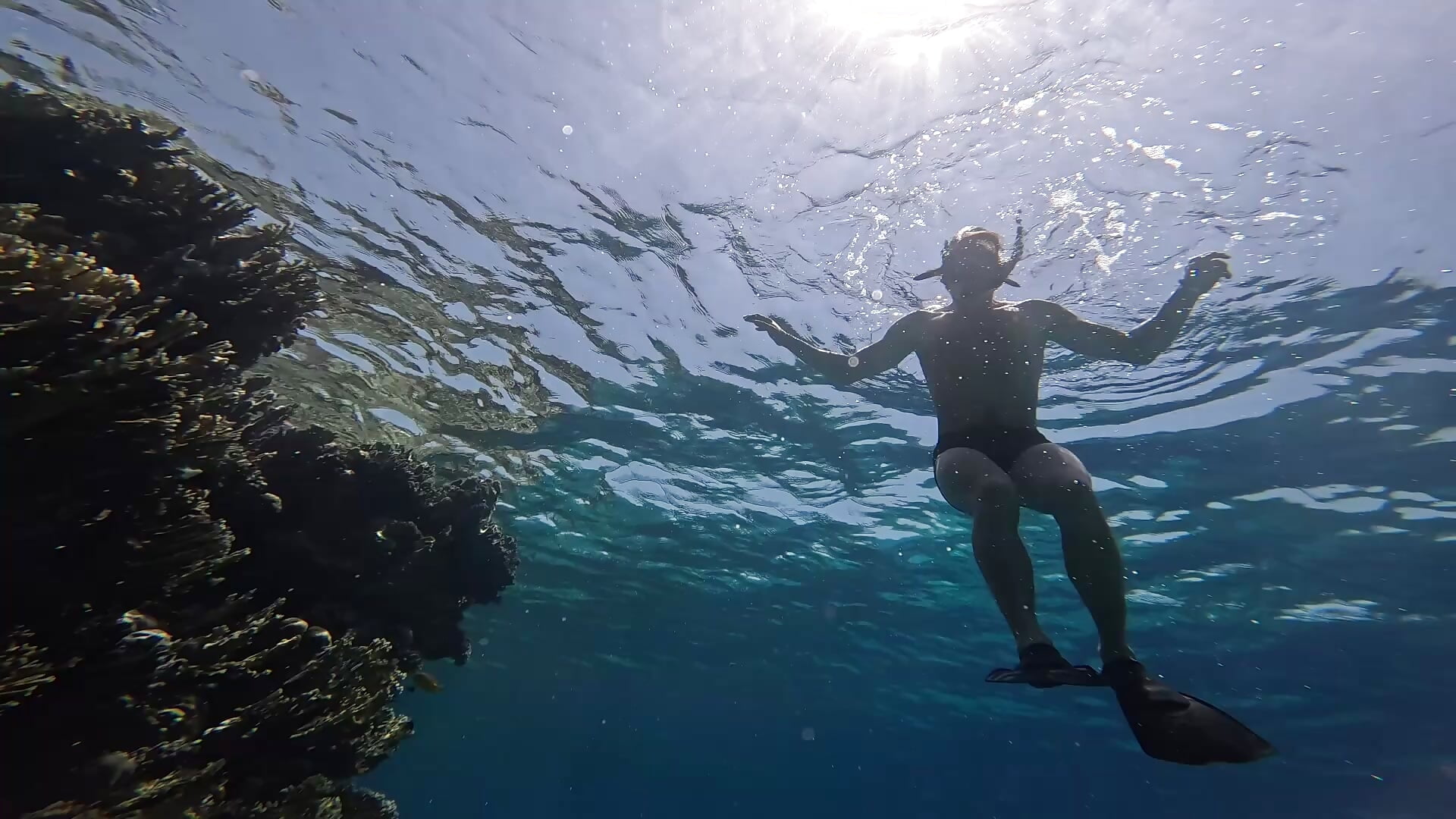 to swim - วิดีโอโดย AlexxWine โมเดลแคม