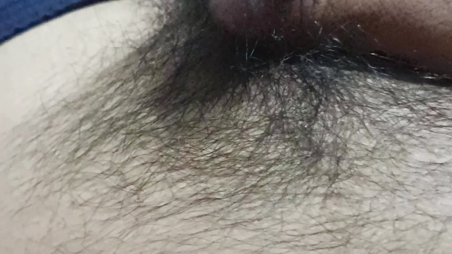 17651 - video yerquito1 kameramallilta