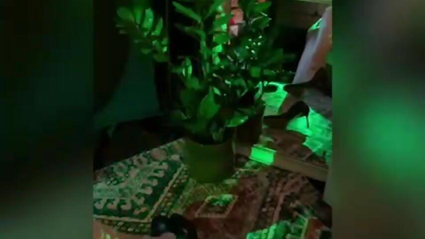 legs - video by Koreanowner cam model