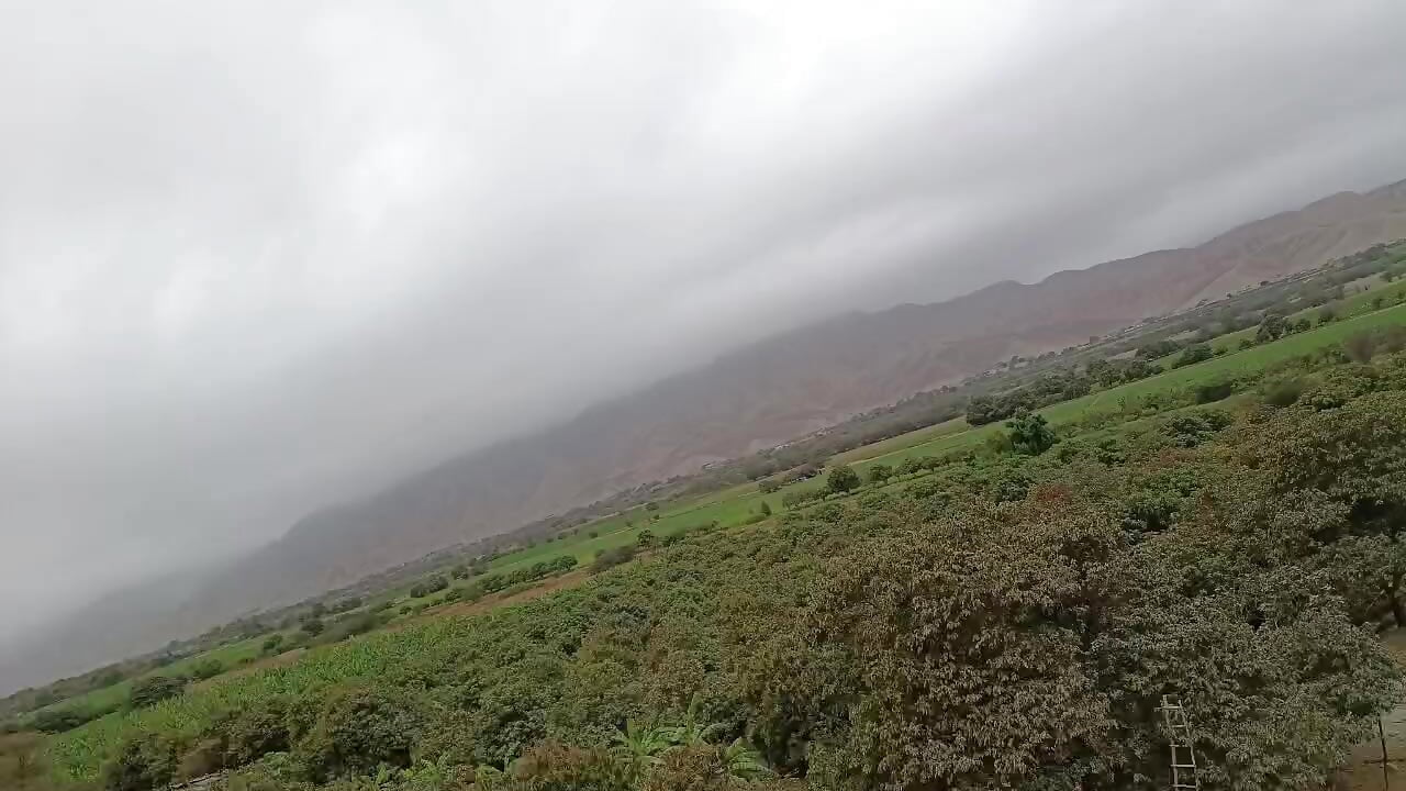 Naturaleza - video by zayuri cam model