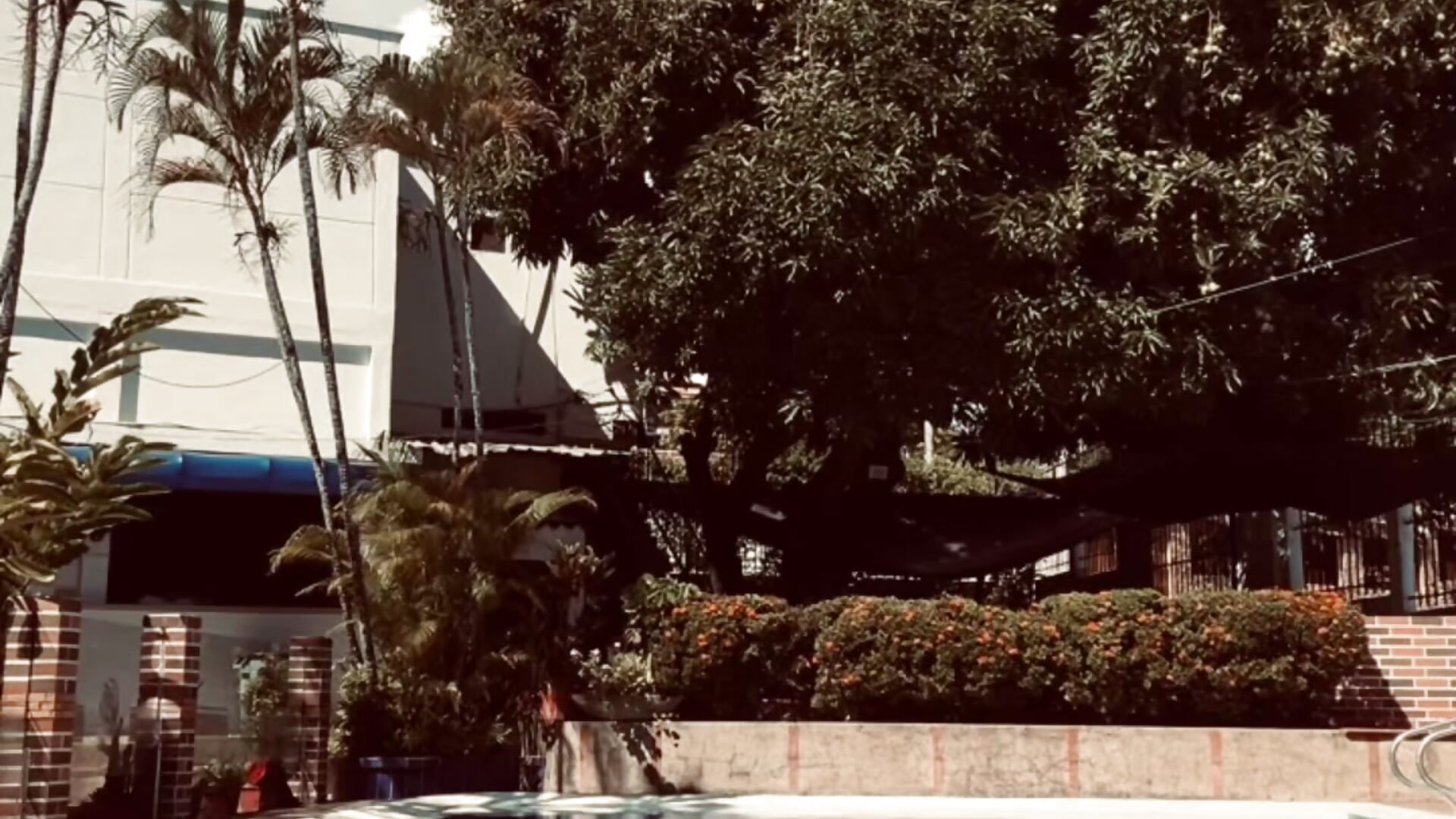 Swimming in the pool while you watch me - video Dailyn_Rose kameramallilta