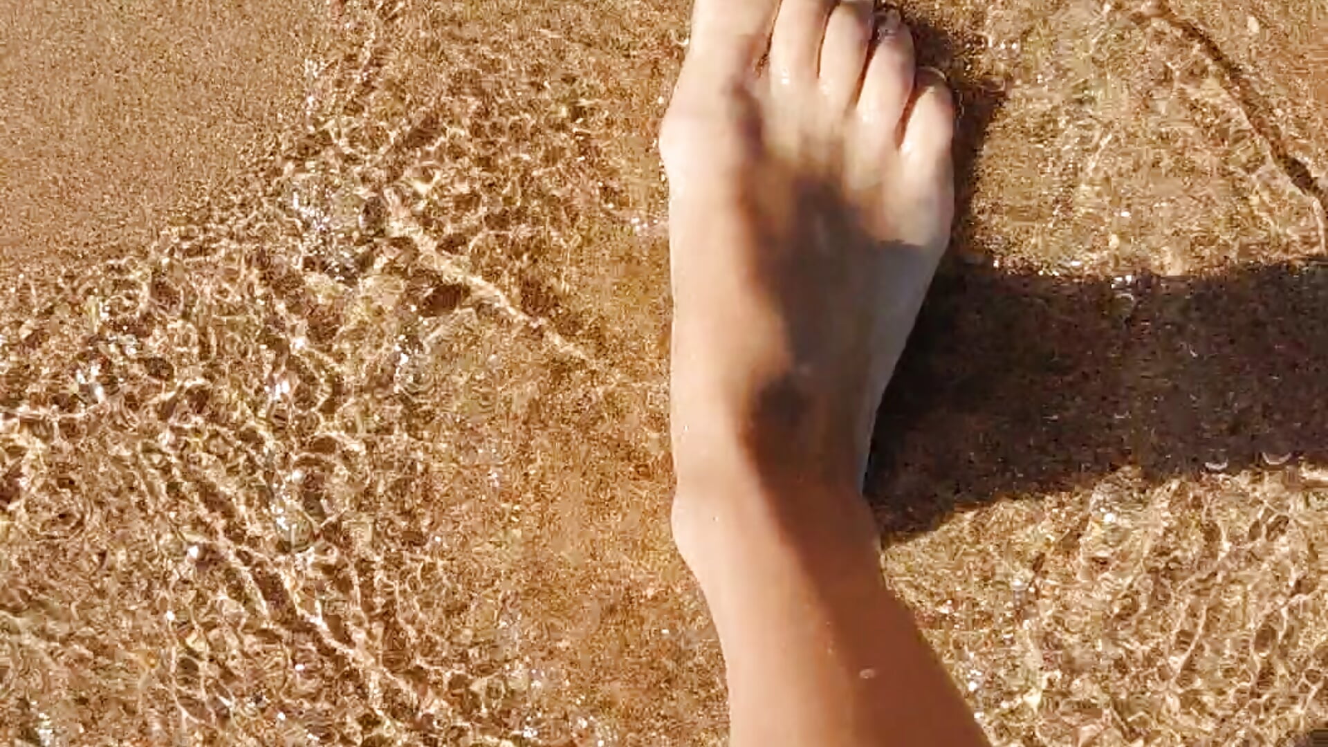 Legs