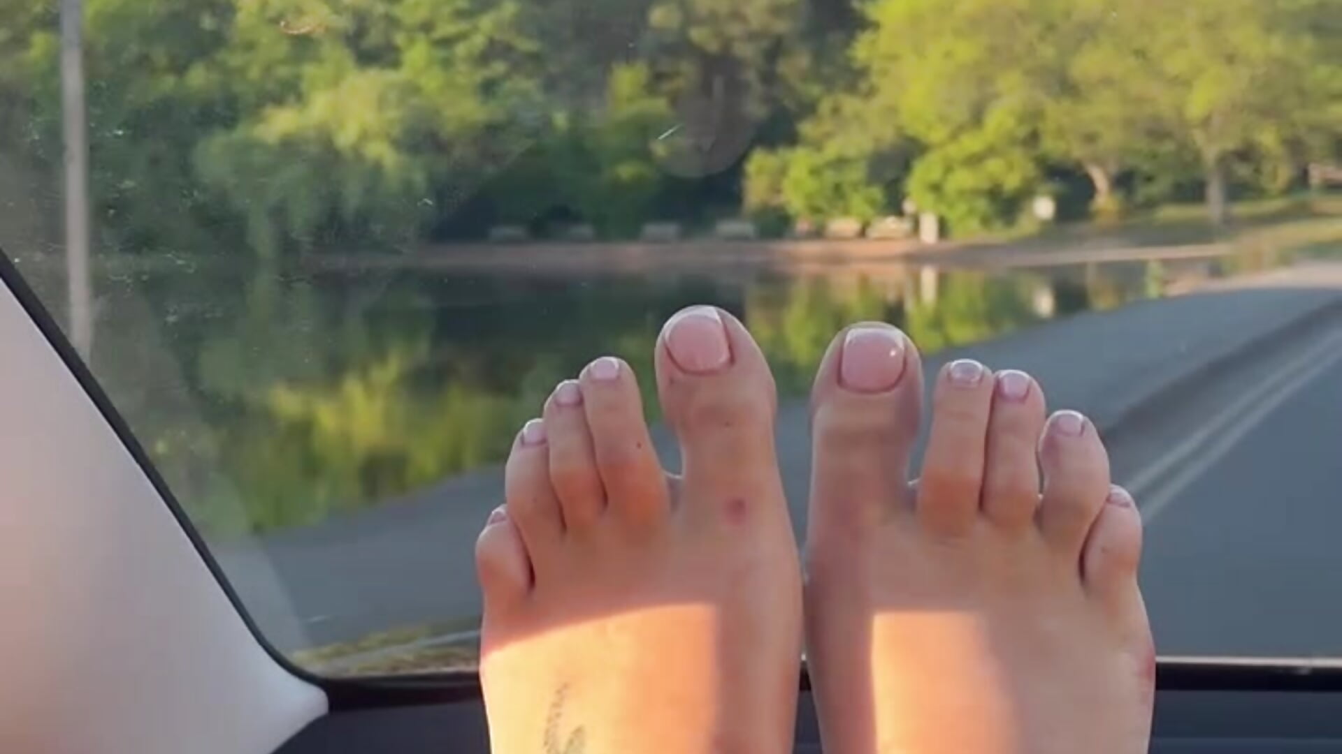 Dashboard 👣 - video by Sienna-RoseX cam model