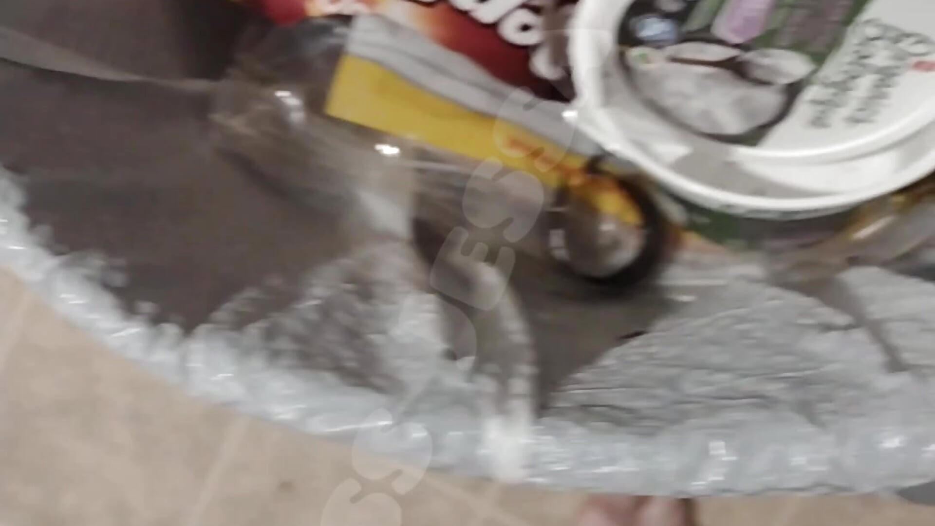 Loser Gooning over my trash and dirty dishes #findom #femdom - video by JessaBella cam model