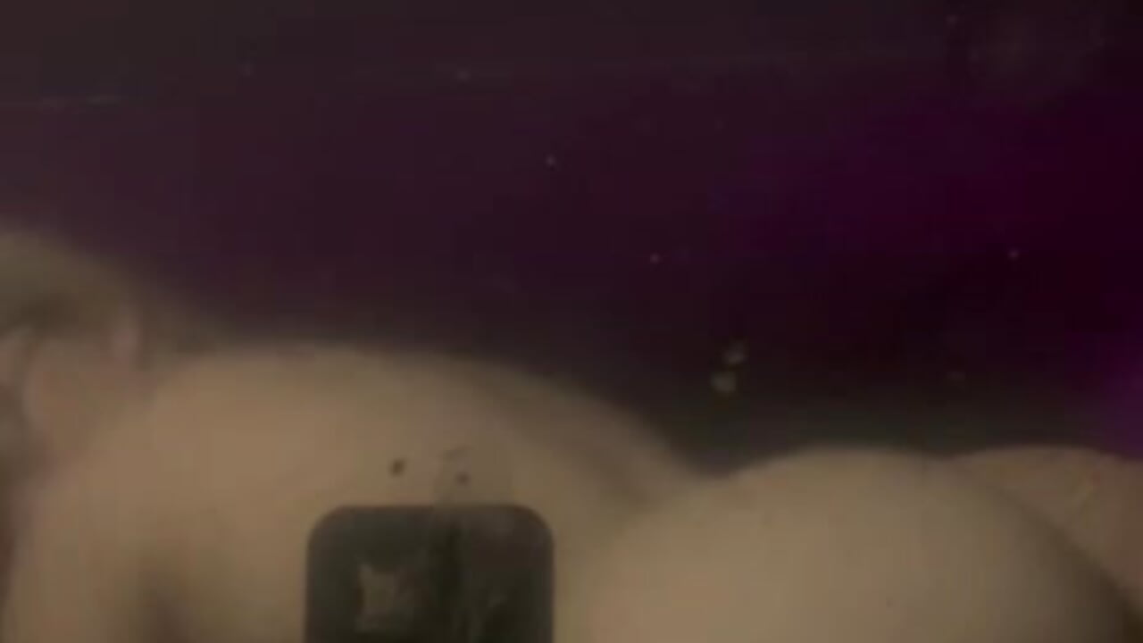 The reflection of your lust - video by Min1Kara cam model