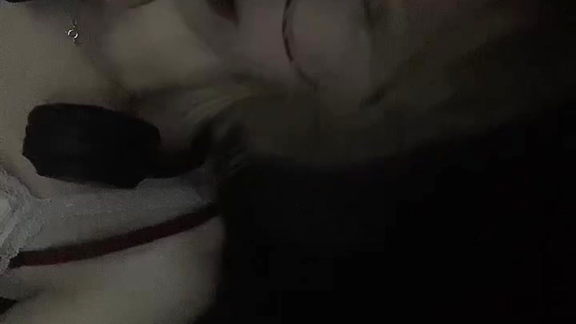 This is Sofi❤ - Video von Tea_bynny Cam-Model