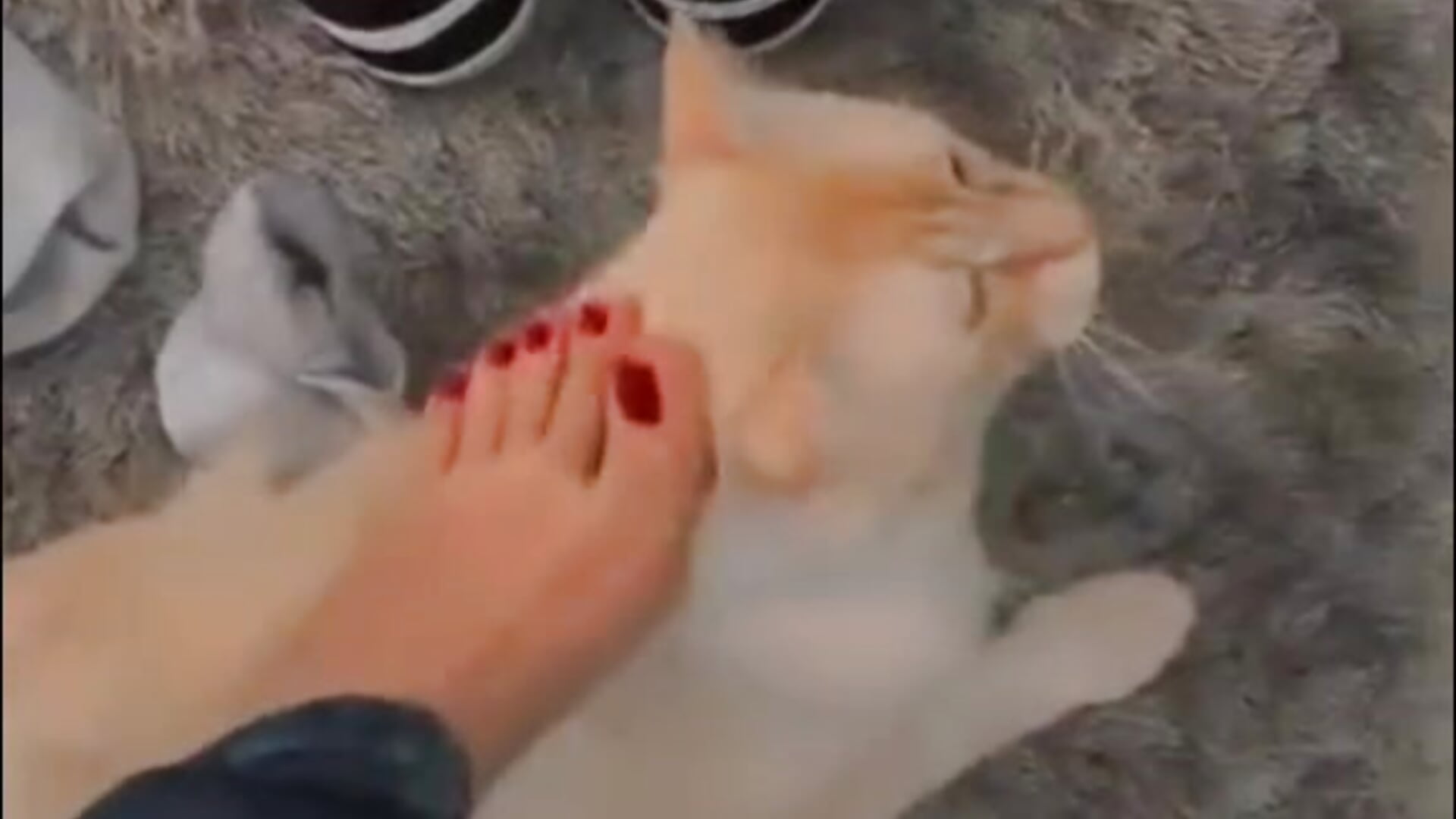 تعال تخضع - فيديو من Quen_feet_sexi موديل الكام