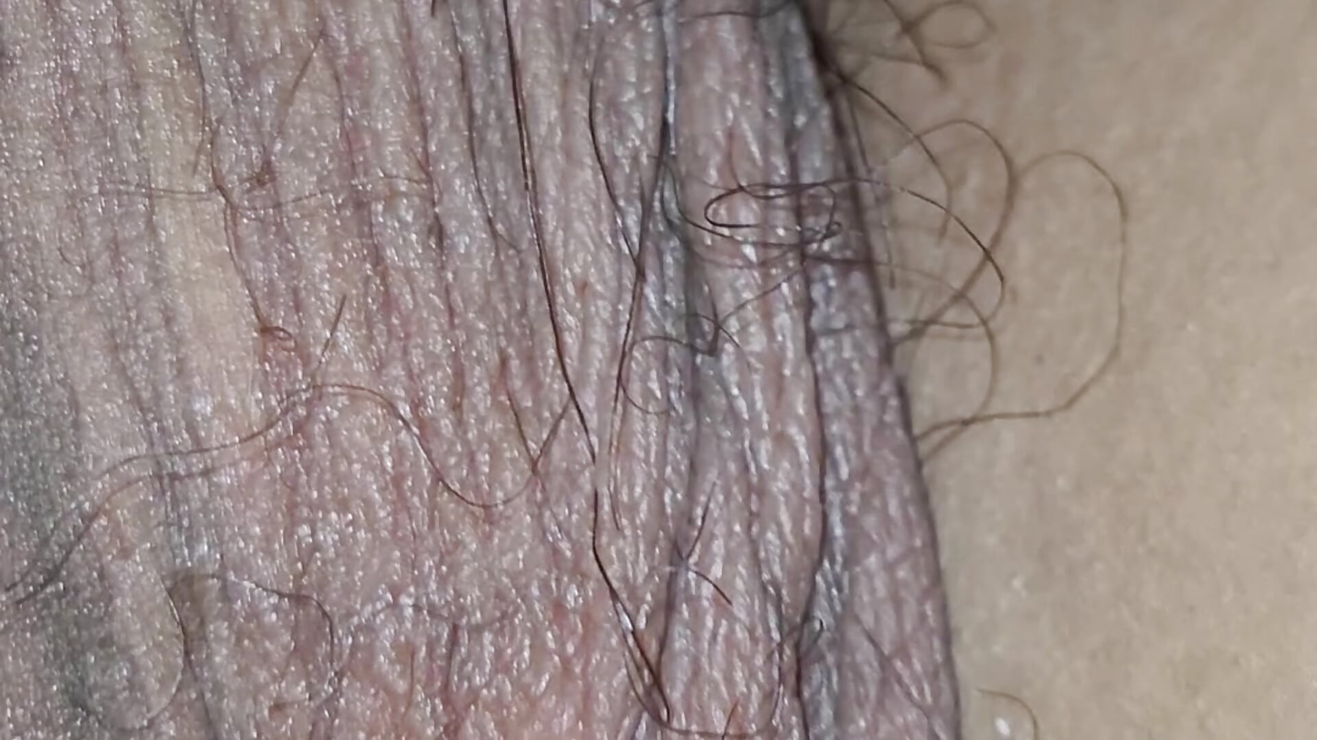 My Hard Dick # 5 💧🍆 - video by very_big_dick00 cam model