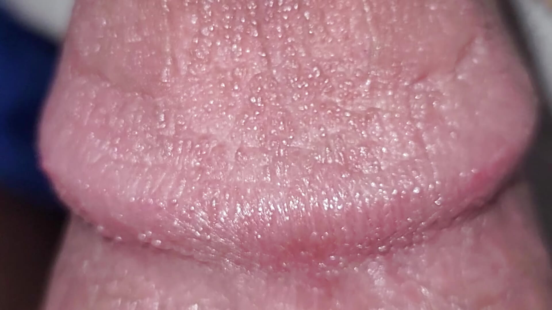 My Hard Dick # 8 💧🍆 - video by very_big_dick00 cam model