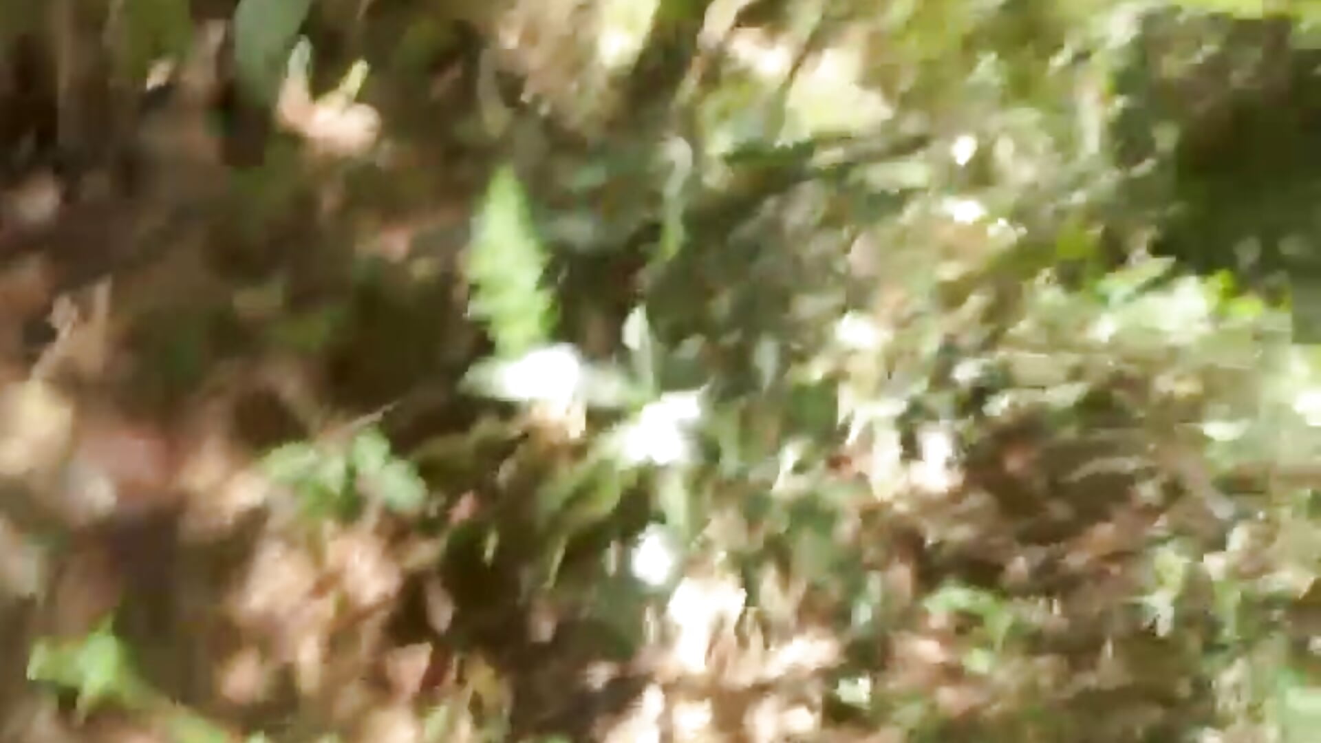 I almost got caught in the woods – video af KARIB88 cam-model
