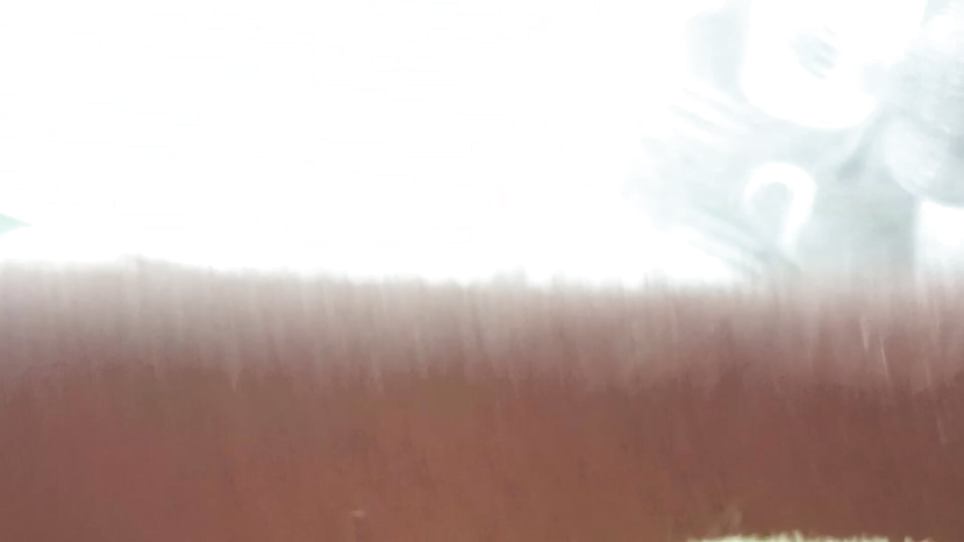 Tide  ass