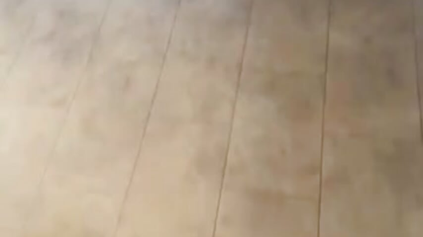 81091846781__15C4E615-8517-4430-A41E-A903EAC67C77 - Video von criso898 Cam-Model