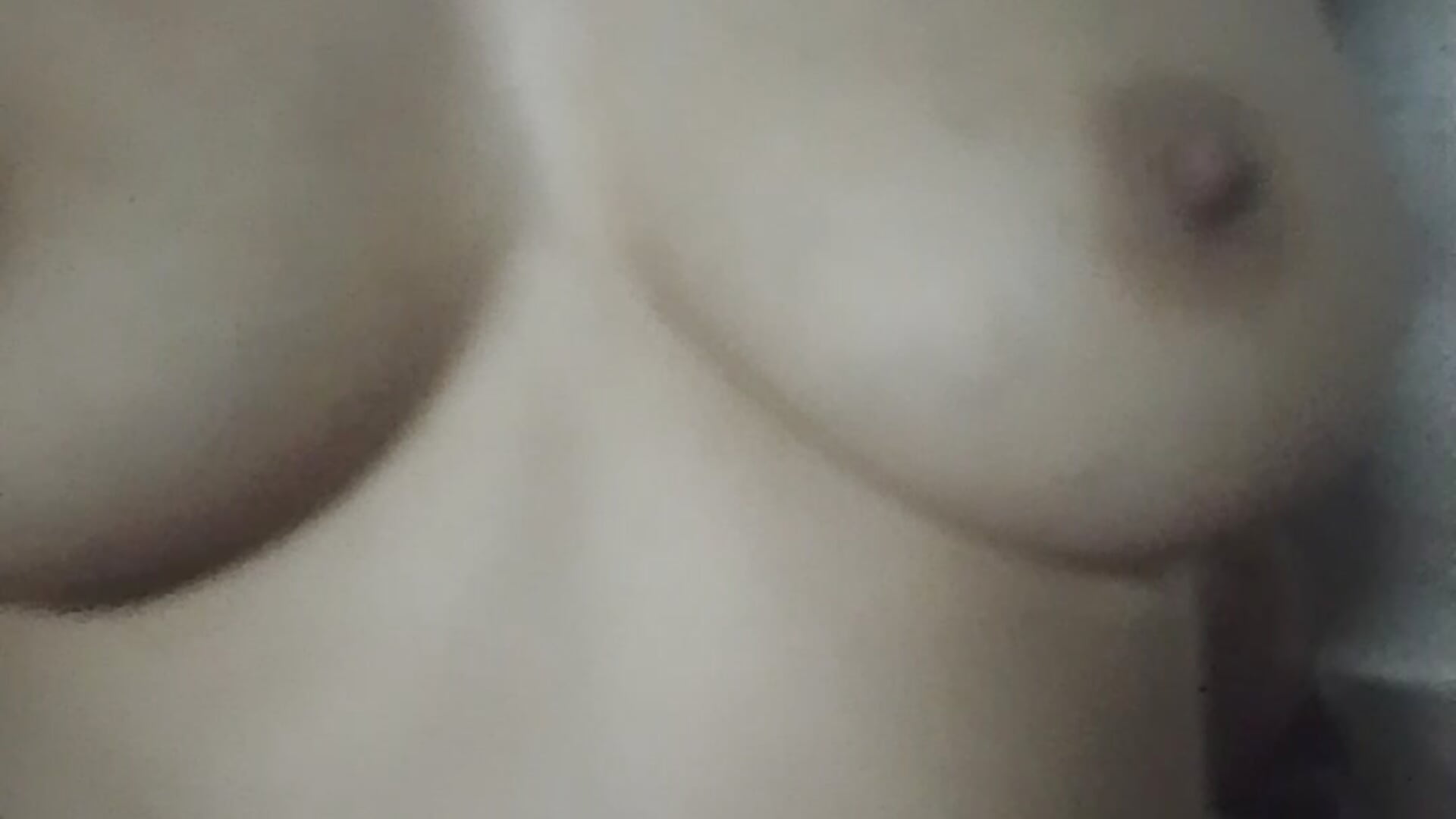 Boobies