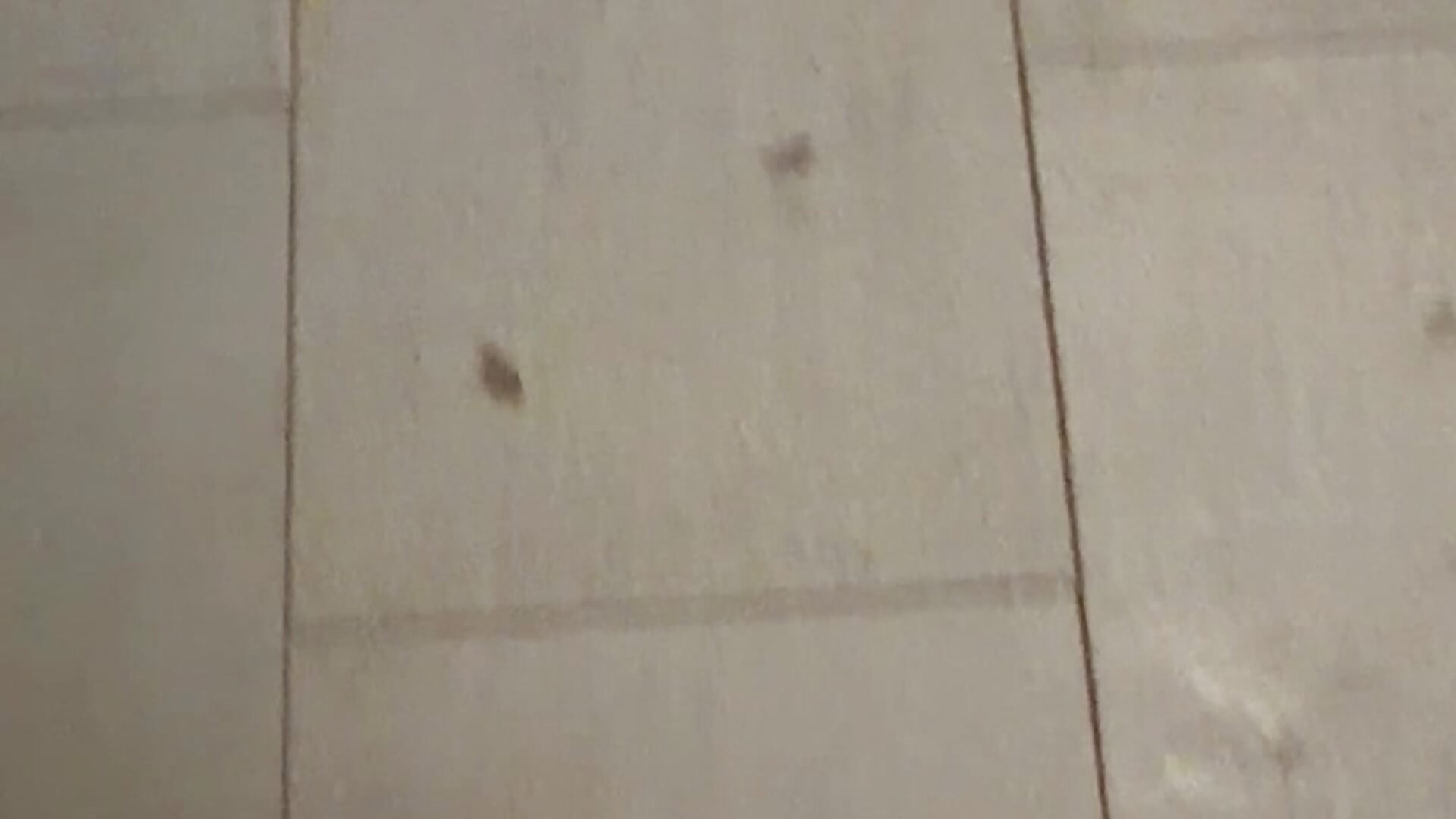 散散步 - video của người mẫu cam pingguo127