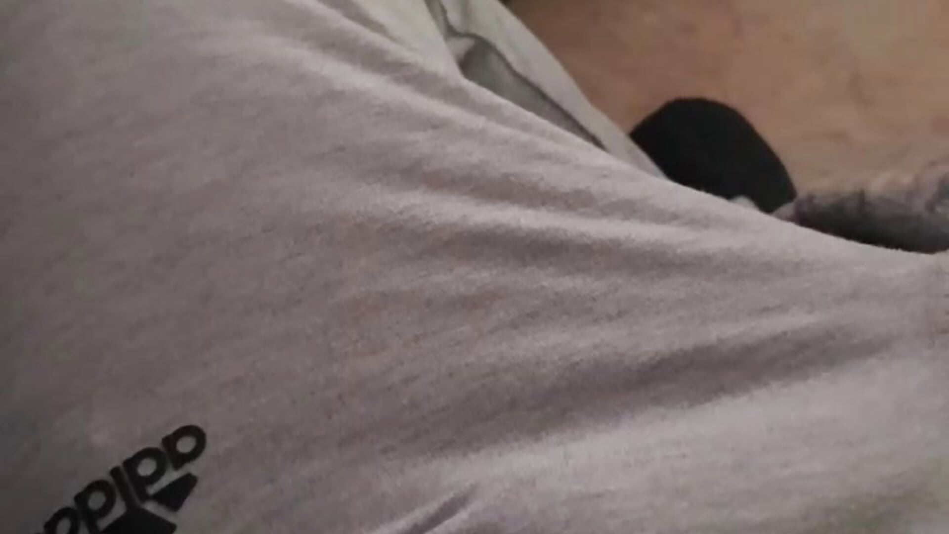 7810122734478780937 - clip cu TioConMorbo model videochat