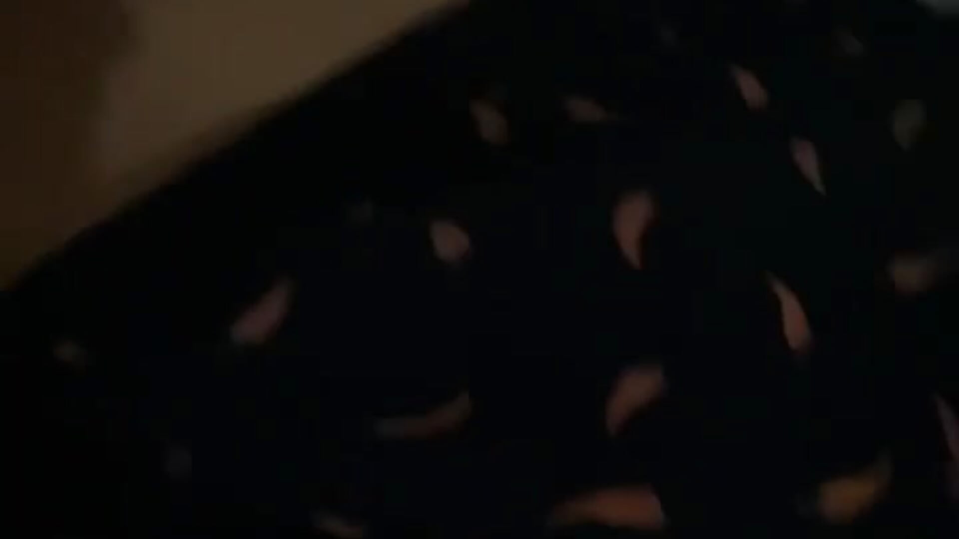 lucipucixx