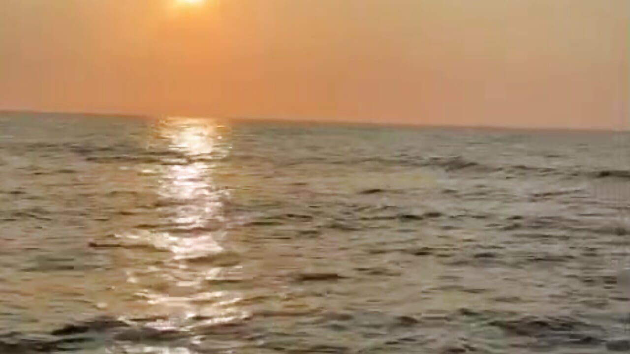 Nature is Peace - video by Abegail3331