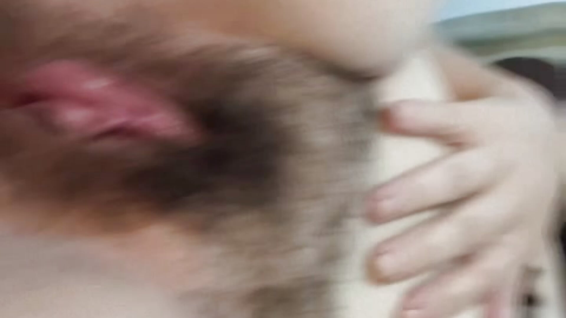 Wild and natural - Vídeo de hayri11, modelo de vídeos