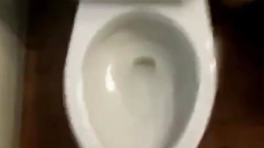 visita al baño - vídeo de zurdineno modelo de câmara