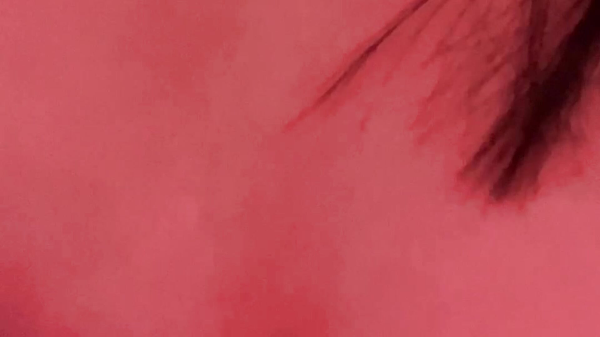Should I come closer, or are you too shy? 😉 - vídeo de Daisy_Doll modelo de câmara