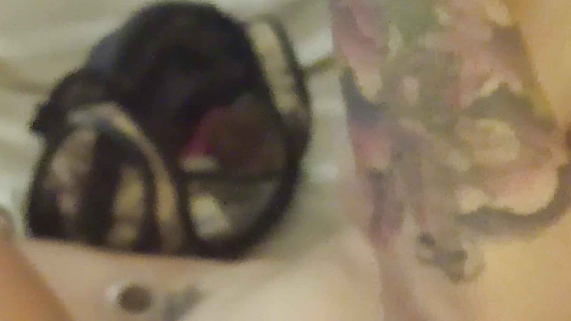 1000010690 - video by HerBadHabit