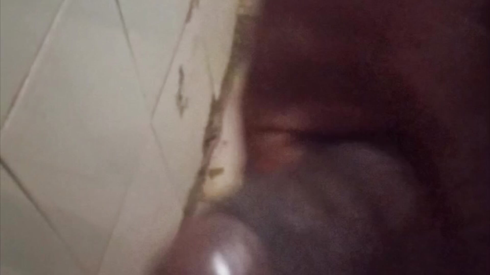 1000059282