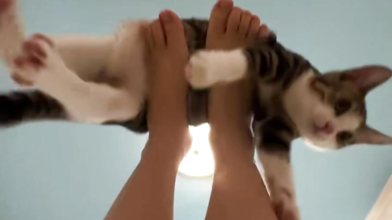 猫猫2 - vídeo de la modelo de cam Onesarali