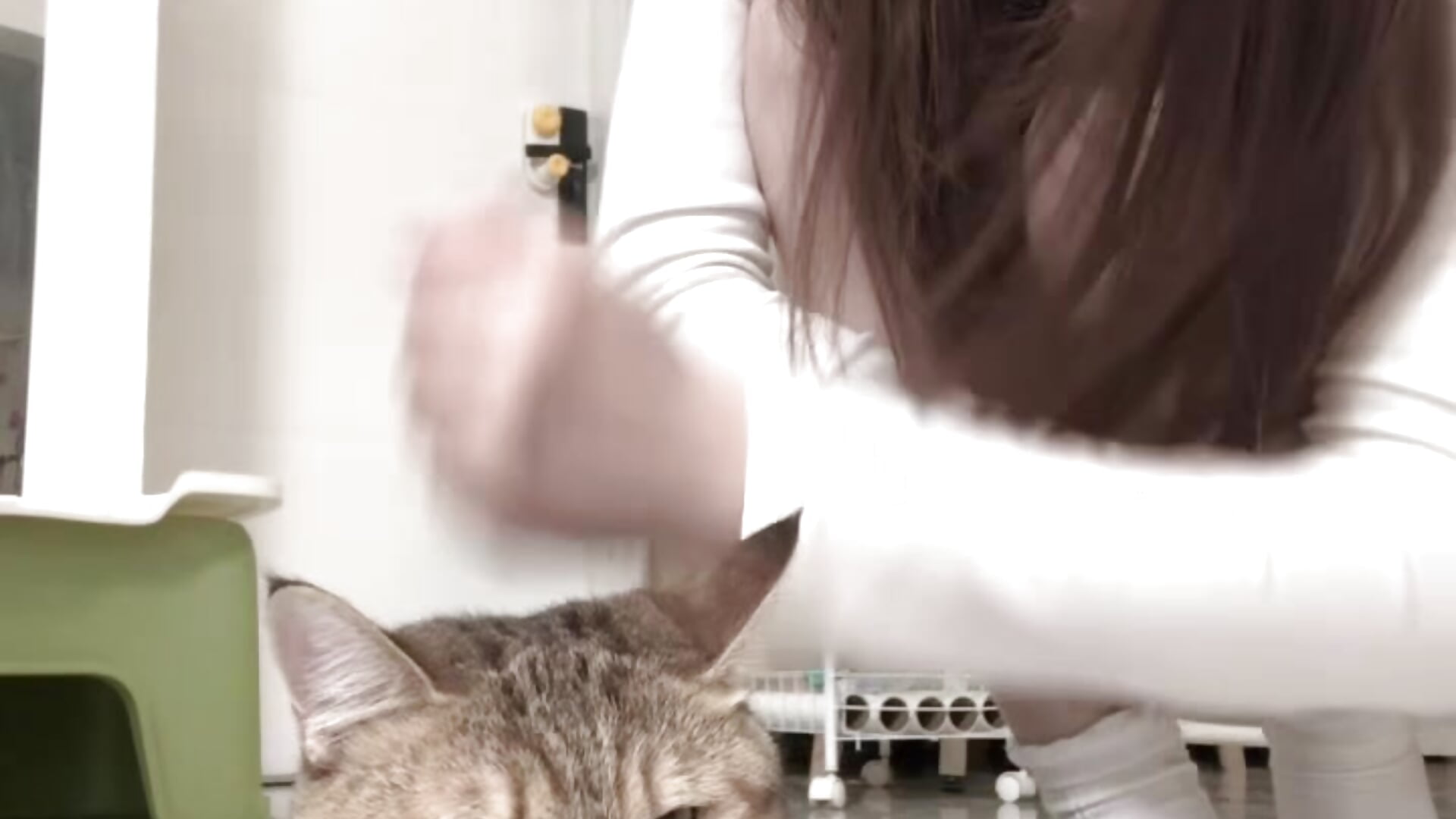 猫猫 - ক্যাম মডেল Onesarali-এর ভিডিও
