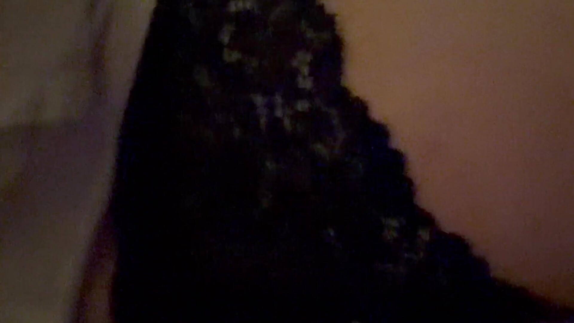 IMG_2737 - video by MarySilentDream cam model