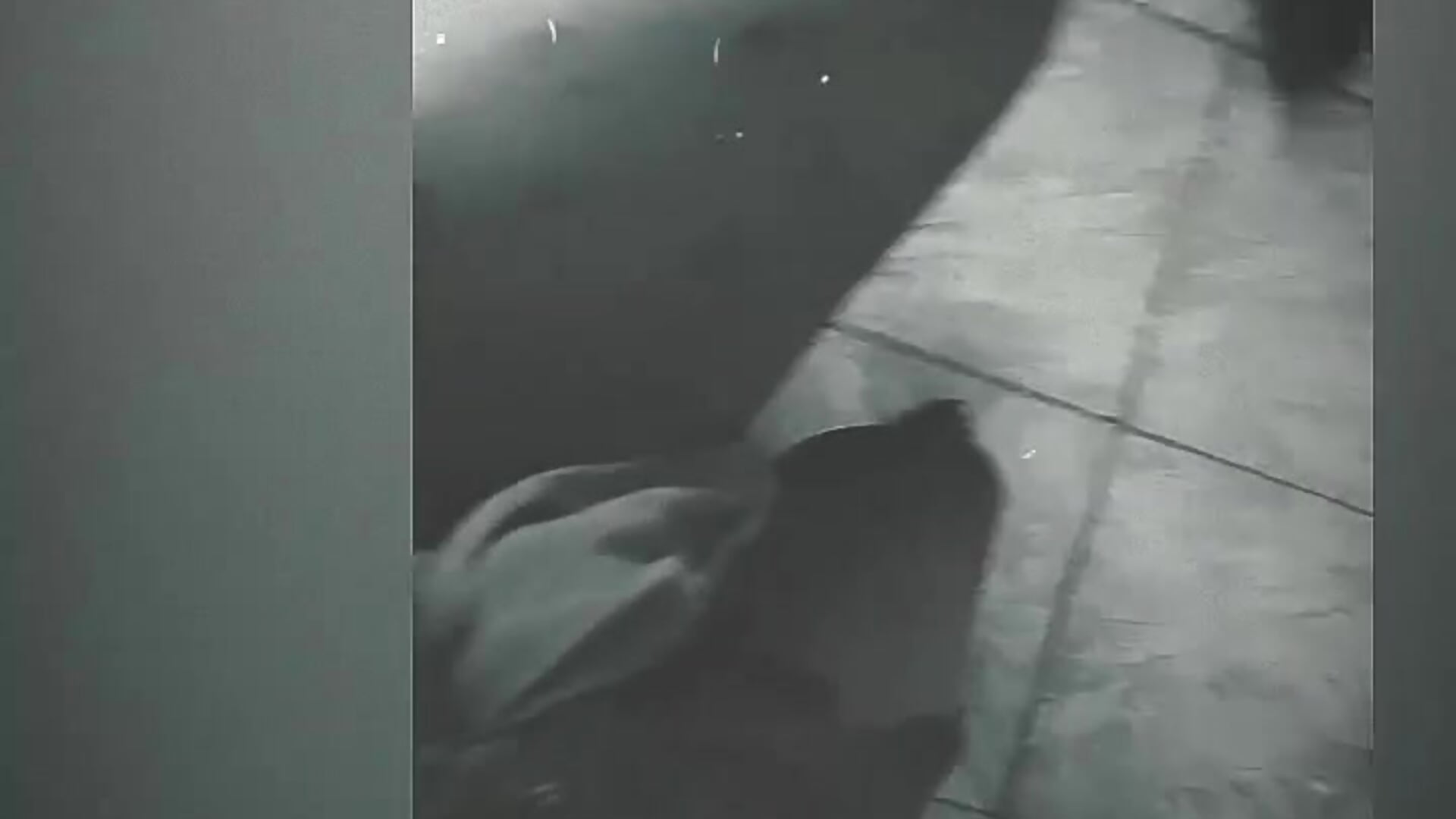1000147269