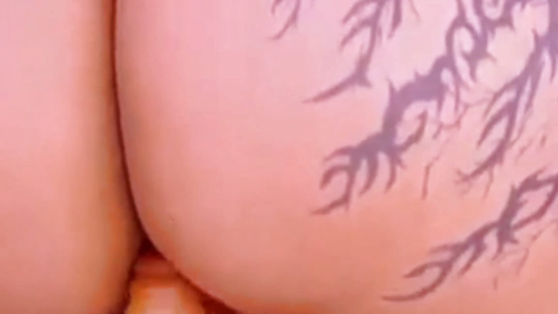 big latin ass waiting for you🍑🍆 - AlisaSmithe 캠 모델의 동영상