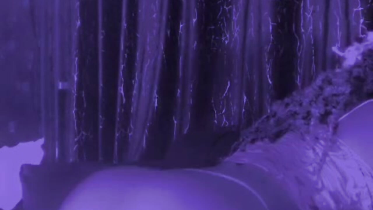 Big ass 💋 shaking - video by Lusty_Bunda cam model