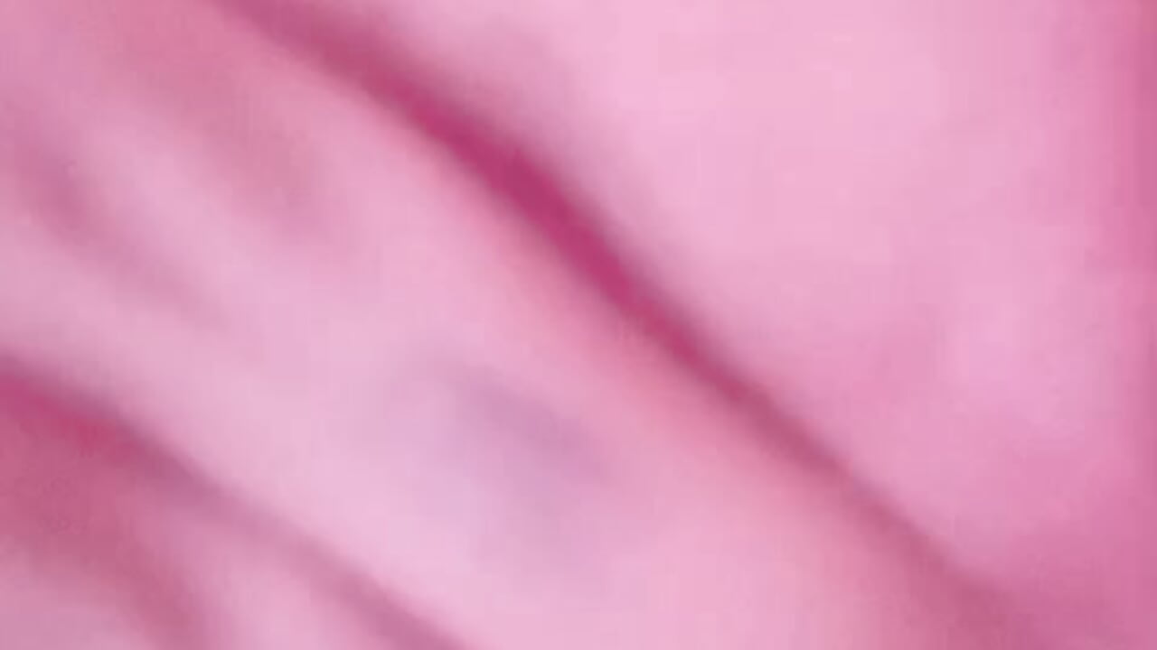23305