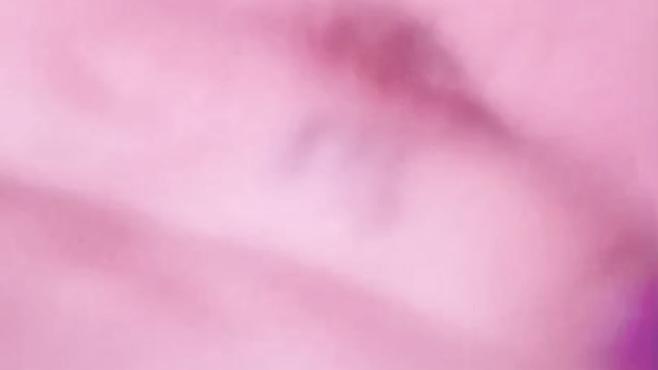 23305