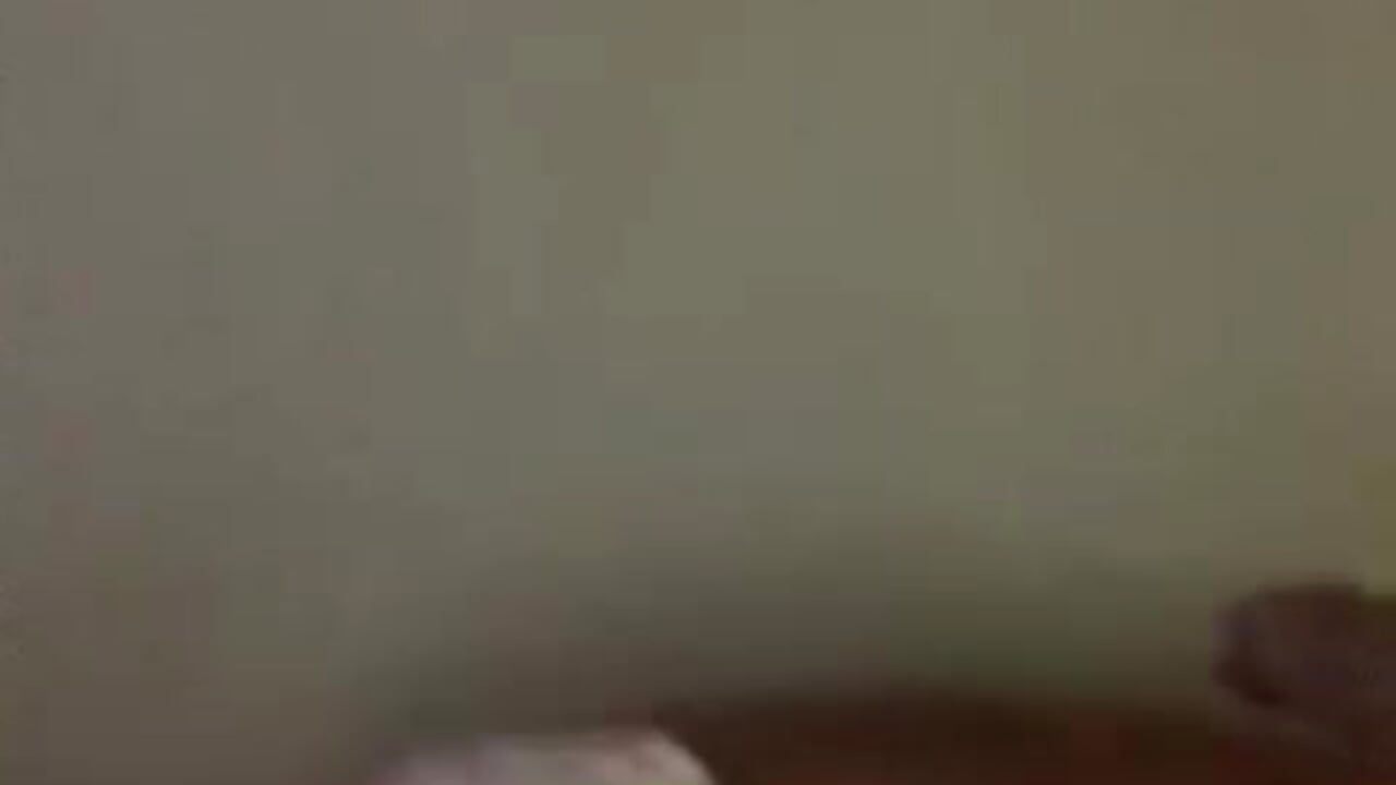 Twerk ❤️‍🔥😮‍💨 - video di Zarellerose modella di cam