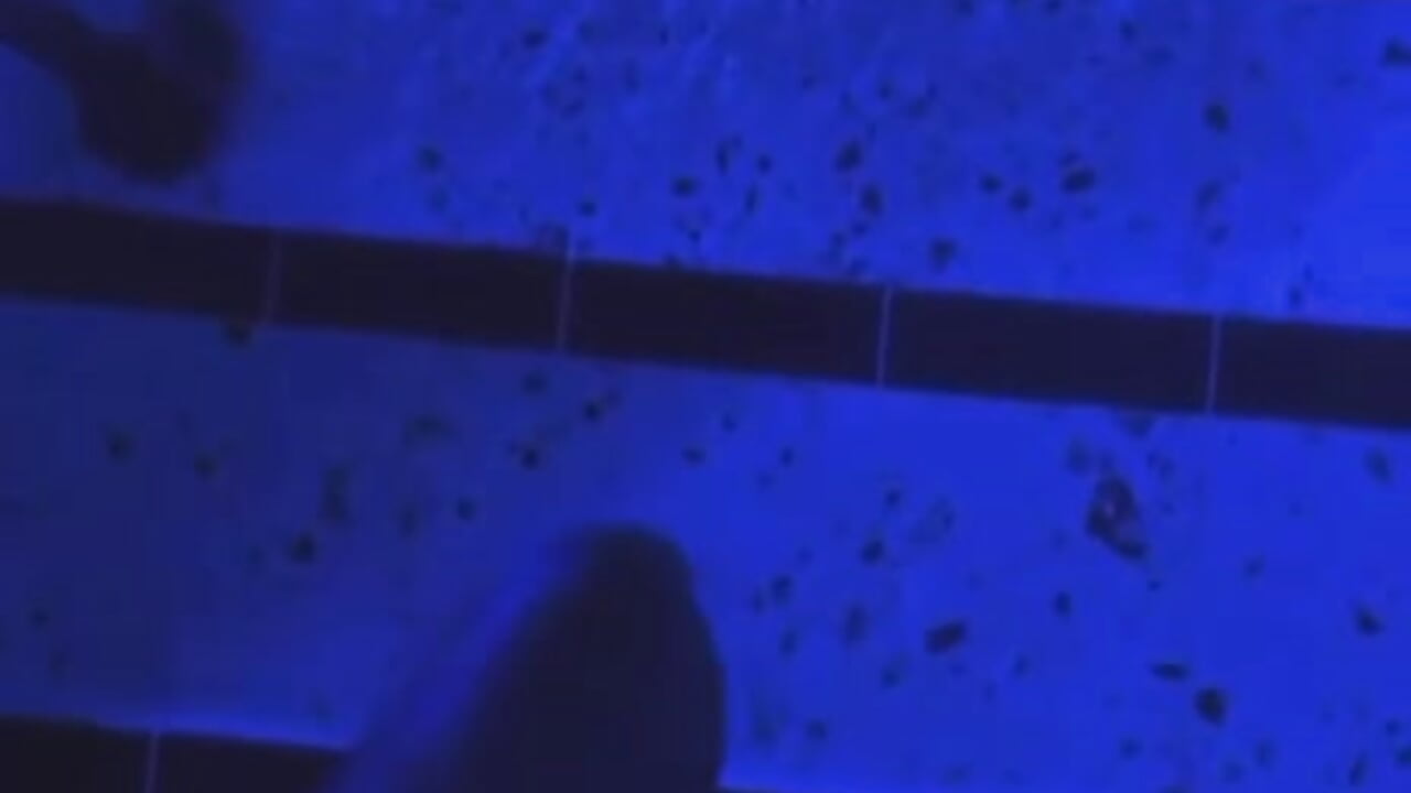 🌊🌊 - vídeo de minashi_ modelo de câmara