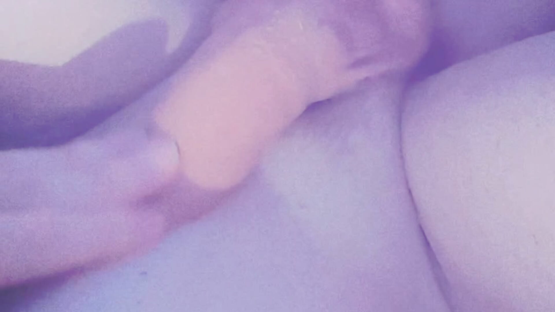 bunny_bottom