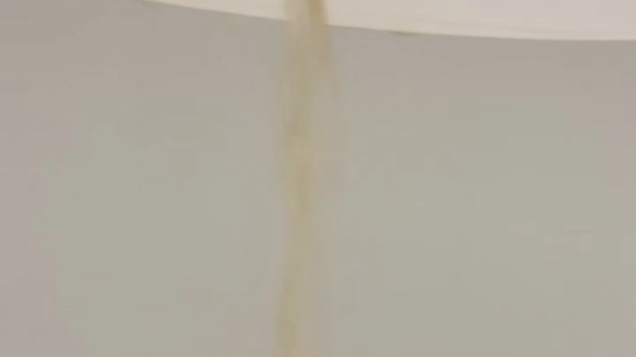 Weeing in shower - Vídeo de paradoxical_enigma, modelo de vídeos