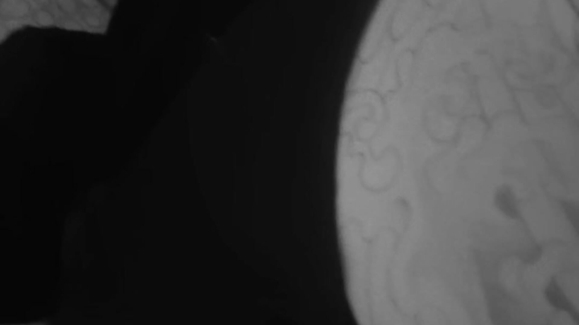 Au reveil - video by LindienneTatouee cam model