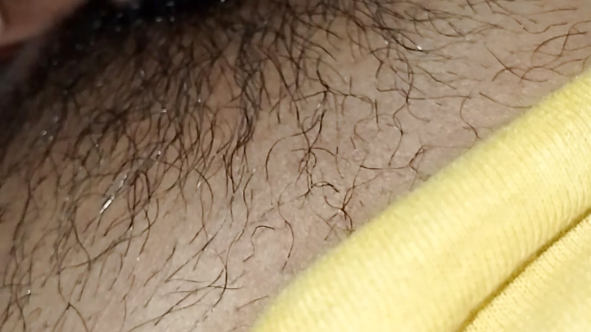 CrustingJaguar